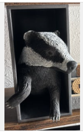 badger booknook