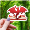 fire breathing book dragon sticker 3"