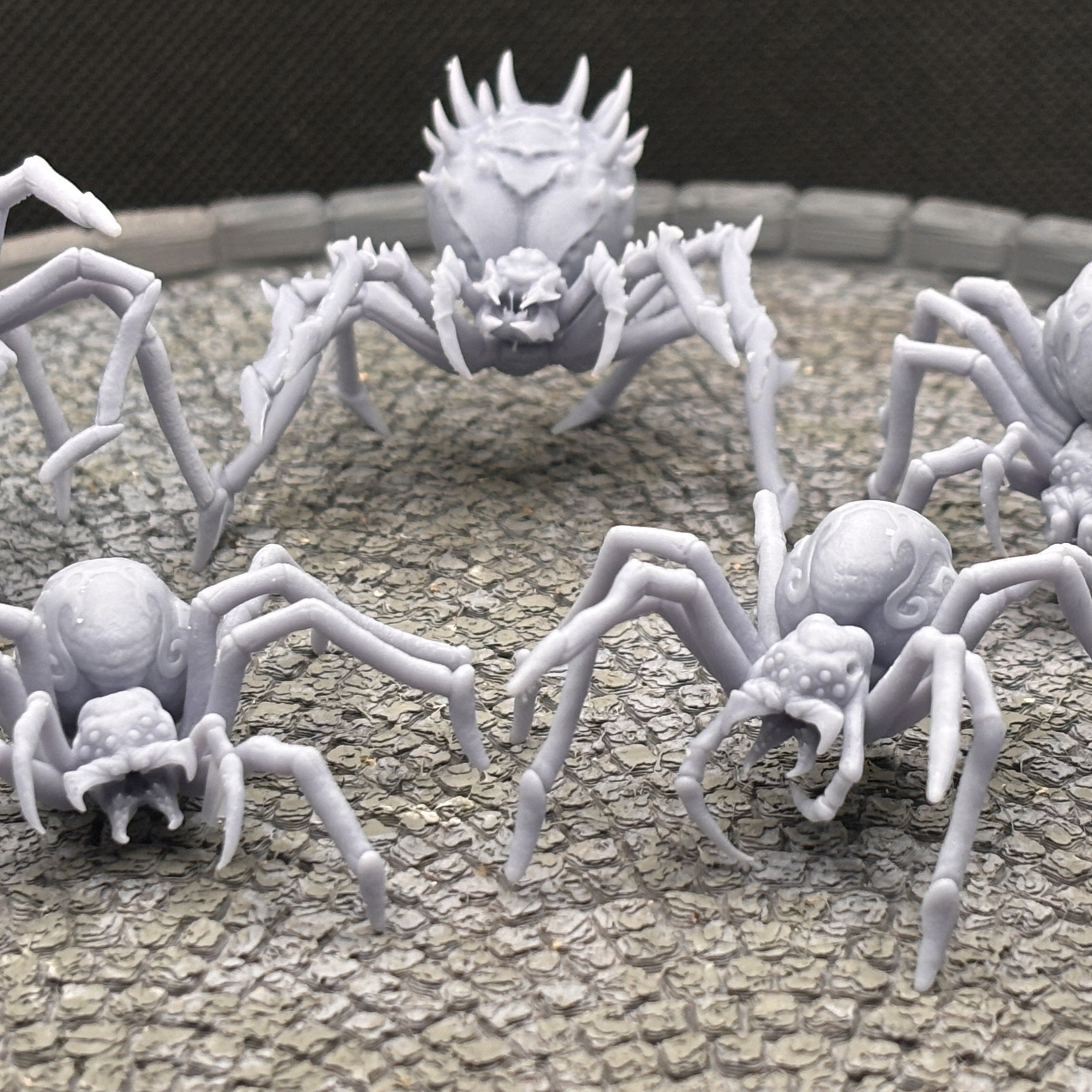 Spider 5 pack 32mm